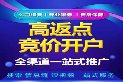 深度解析百度推广代运营公司的成功策略与技巧