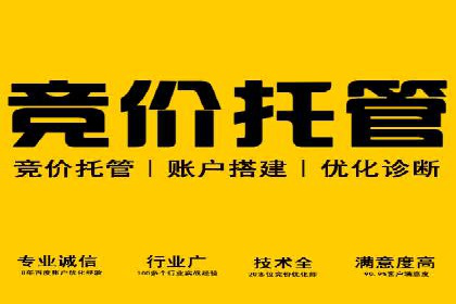 如何利用百度竞价代理：真实案例分析
